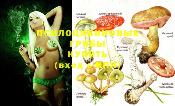 mdma Бородино