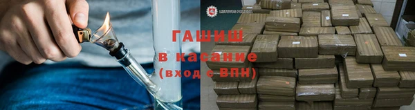 сатива Верея